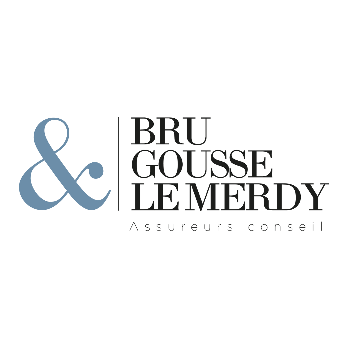 Bru Gousse Le Merdy Assureurs Conseils - Whatsgoingon