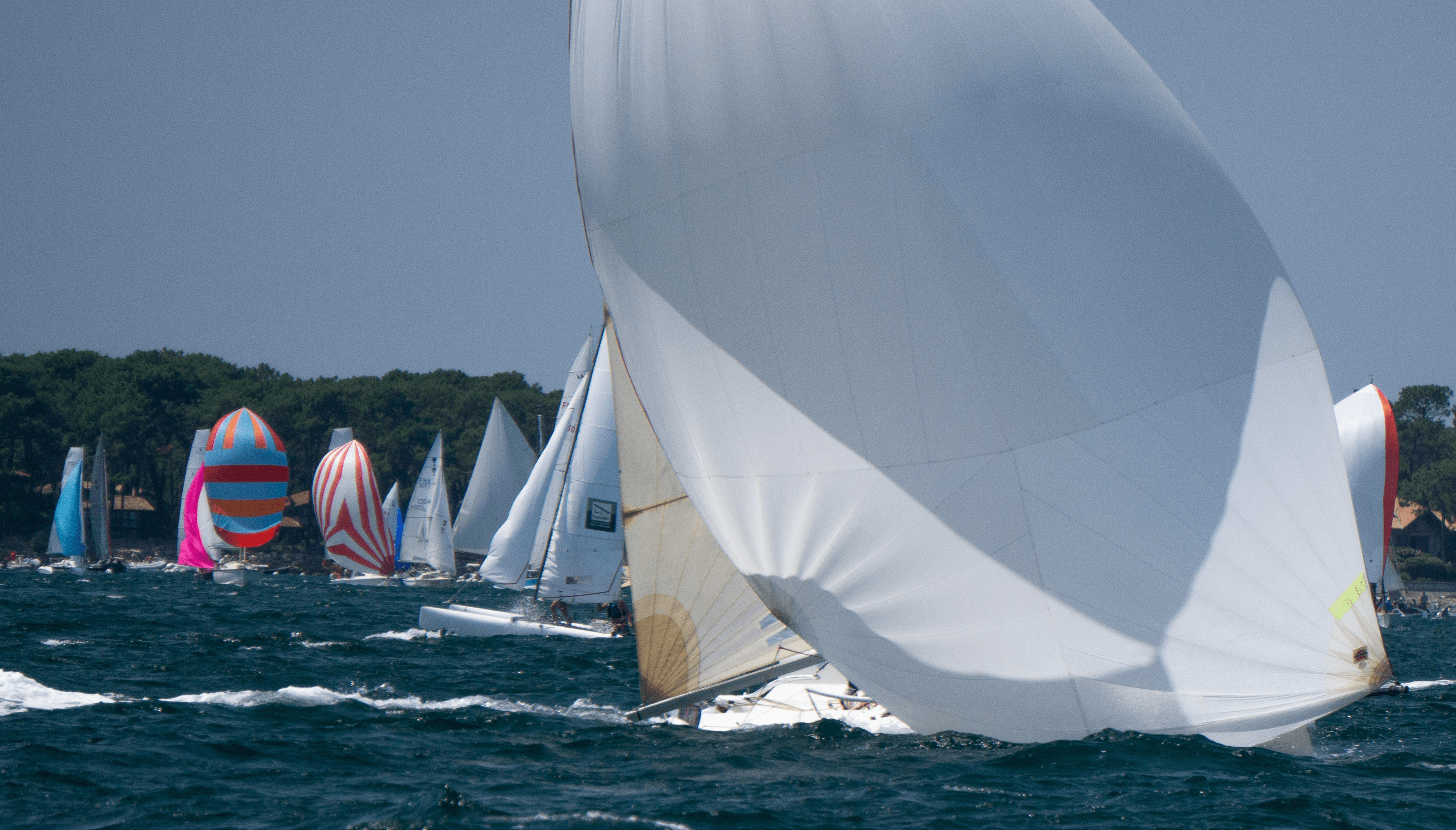 Accueil - Whatsgoingon